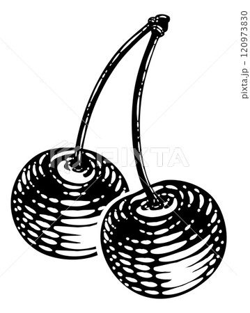 Cherry Berry Fruit Vintage Woodcut Illustration 120973830