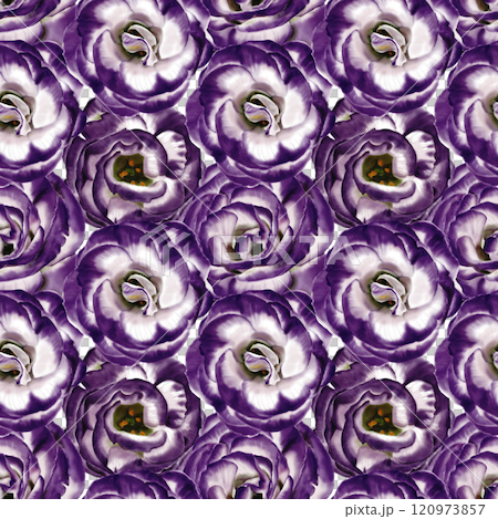 Seamless pattern with Eustoma flowers. Lisianthus flower or bellflower. White and purple. No background. Watercolor illustration.  120973857