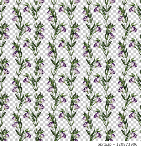 Seamless pattern with Eustoma flowers. Lisianthus flower or bellflower. Leaves and stems are green. White and purple. No background. Watercolor illustration.  120973906