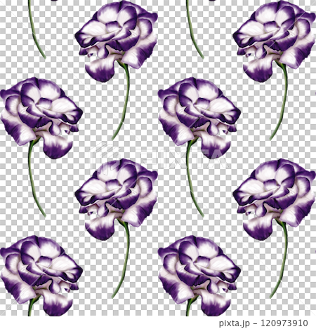 Seamless pattern with Eustoma flowers. Lisianthus flower or bellflower. White and purple in color on a thin stem. Seamless pattern with Eustoma flowers. Lisianthus flower or bellflower. White and purple in color on a thin stem. 120973910