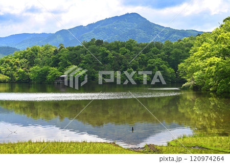 新緑の京都市岩倉 宝が池公園から望む比叡山 120974264