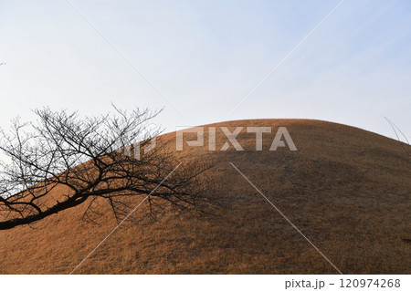 Ancient Silla Dynasty tombs in Korea Ancient Silla Dynasty tombs in Korea 120974268