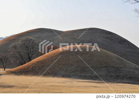 Ancient Silla Dynasty tombs in Korea 120974270