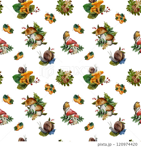 Seamless pattern. Watercolor hand drawn illustration with mushrooms, snails, rowan, tree leaves, pumpkin. White background. For printing on fabrics, t-shirts, tablecloths, scrapbooking, backgrounds Seamless pattern. Watercolor hand drawn illustration with mushrooms, snails, rowan, tree leaves, pumpkin. White background. For printing on fabrics, t-shirts, tablecloths, scrapbooking, backgrounds 120974420