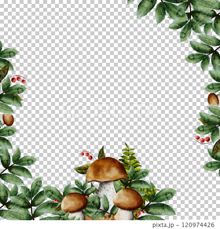 Watercolor square frame with mushrooms, green leaves and rowan berries. Boletus, ferns. Illustration with place for text. Isolated on a white background. For cards, invitations, wedding designs Watercolor square frame with mushrooms, green leaves and rowan berries. Boletus, ferns. Illustration with place for text. Isolated on a white background. For cards, invitations, wedding designs 120974426