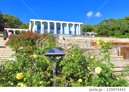 【兵庫県】バラが満開の須磨離宮公園(噴水広場) 【兵庫県】バラが満開の須磨離宮公園(噴水広場) 120974441