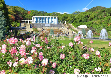 【兵庫県】バラが満開の須磨離宮公園(噴水広場) 【兵庫県】バラが満開の須磨離宮公園(噴水広場) 120974443