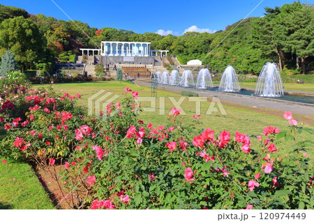 【兵庫県】バラが満開の須磨離宮公園（噴水広場） 120974449