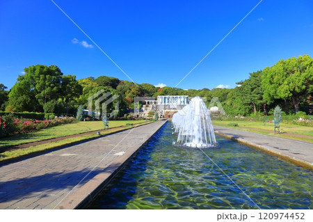 【兵庫県】バラが満開の須磨離宮公園（噴水広場） 120974452