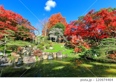 【兵庫県】快晴の須磨離宮公園の植物園の紅葉(みどり滝) 【兵庫県】快晴の須磨離宮公園の植物園の紅葉(みどり滝) 120974464