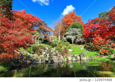 【兵庫県】快晴の須磨離宮公園の植物園の紅葉(みどり滝) 【兵庫県】快晴の須磨離宮公園の植物園の紅葉(みどり滝) 120974466