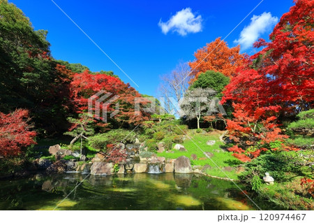 【兵庫県】快晴の須磨離宮公園の植物園の紅葉(みどり滝) 【兵庫県】快晴の須磨離宮公園の植物園の紅葉(みどり滝) 120974467
