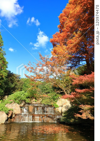【兵庫県】快晴の須磨離宮公園の植物園の紅葉（三段滝） 120974478
