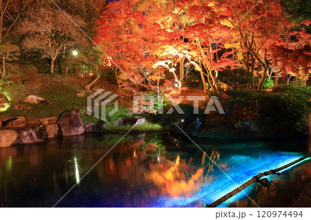 【兵庫県】須磨離宮公園の植物園の紅葉ライトアップ(みどり滝) 【兵庫県】須磨離宮公園の植物園の紅葉ライトアップ(みどり滝) 120974494