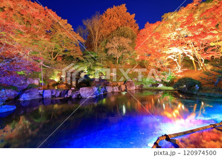 【兵庫県】須磨離宮公園の植物園の紅葉ライトアップ（みどり滝） 120974500