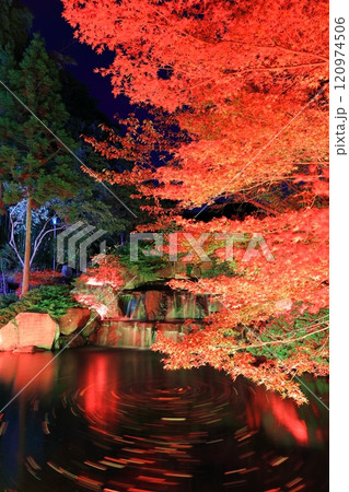 【兵庫県】須磨離宮公園の植物園の紅葉ライトアップ（三段滝） 120974506