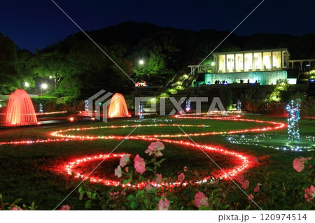 【兵庫県】バラが満開の須磨離宮公園の夜景(紅葉と噴水のファンタジー) 【兵庫県】バラが満開の須磨離宮公園の夜景(紅葉と噴水のファンタジー) 120974514