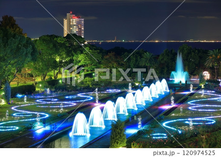 【兵庫県】バラが満開の須磨離宮公園の夜景(紅葉と噴水のファンタジー) 【兵庫県】バラが満開の須磨離宮公園の夜景(紅葉と噴水のファンタジー) 120974525