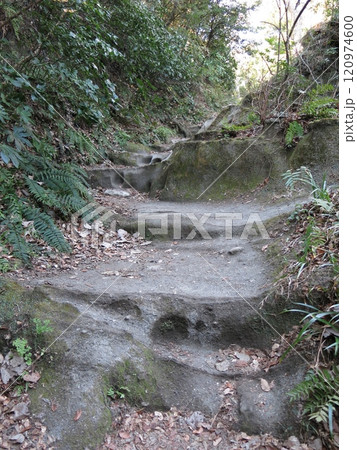 鎌倉市の化粧坂(鎌倉七口) 鎌倉市の化粧坂(鎌倉七口) 120974600