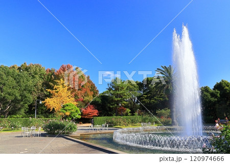 【兵庫県】バラが満開の須磨離宮公園(噴水広場) 【兵庫県】バラが満開の須磨離宮公園(噴水広場) 120974666