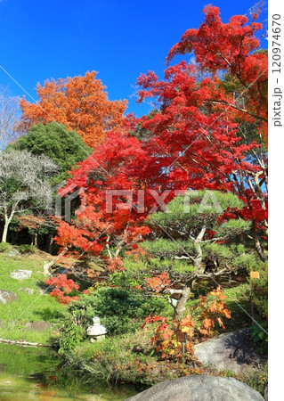 【兵庫県】快晴の須磨離宮公園の植物園の紅葉(みどり滝) 【兵庫県】快晴の須磨離宮公園の植物園の紅葉(みどり滝) 120974670