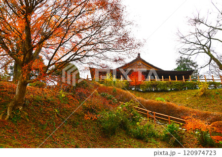 田峯城の紅葉 田峯城の紅葉 120974723