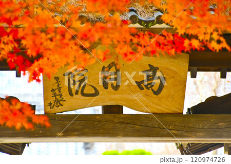 本松山高月院 総門と紅葉 120974726