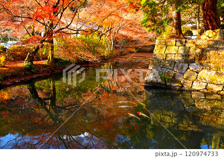 松平東照宮 お堀の水面に映った紅葉と錦鯉 松平東照宮 お堀の水面に映った紅葉と錦鯉 120974733