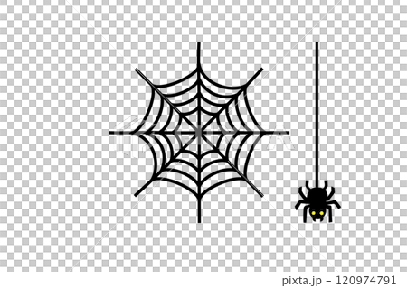 Simple spider web and spider illustration material Simple spider web and spider illustration material 120974791