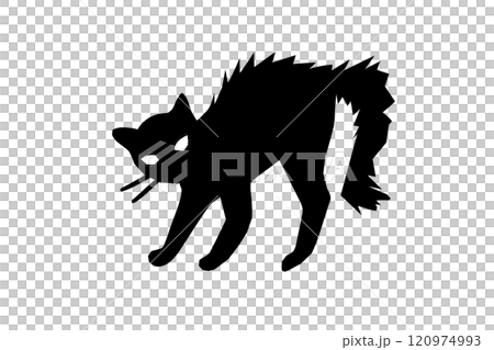 Simple paper cut illustration of a threatening black cat 120974993