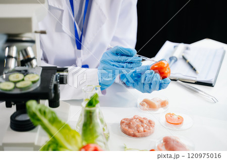 Food science as lab scientists test and analyze vegetables for safety and quality using advanced technology 120975016