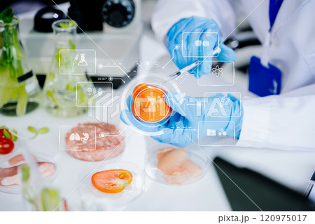 Food science as lab scientists test and analyze vegetables for safety and quality using advanced technology 120975017