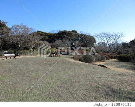 鎌倉市の源氏山公園（広場・源頼朝像） 120975133