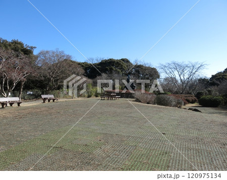 鎌倉市の源氏山公園（広場・源頼朝像） 120975134