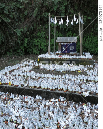 鎌倉市の佐助稲荷神社（仮本殿） 120975144