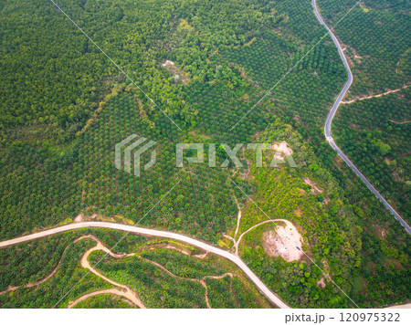 Aerial view Tropical Rainforest trees mountains,Top view green forest background Aerial view Tropical Rainforest trees mountains,Top view green forest background 120975322