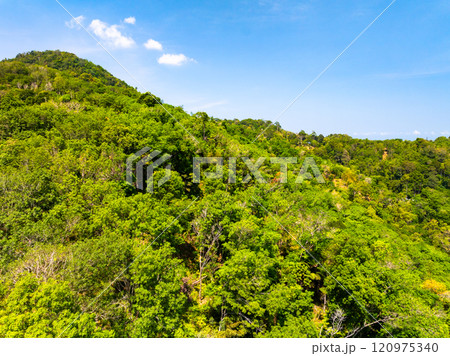 Aerial view Tropical Rainforest trees mountains,Top view green forest background Aerial view Tropical Rainforest trees mountains,Top view green forest background 120975340