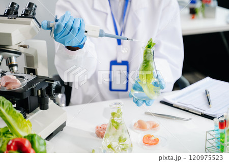 Food science as lab scientists test and analyze vegetables for safety and quality using advanced technology 120975523