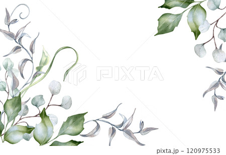 Watercolor border of holly branches in delicate soft colors isolated. Foliage banner of curly vine and twigs hand drawn in sage green. Greenery template frame for nature design, wedding stationary. 120975533