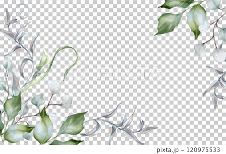 Watercolor border of holly branches in delicate soft colors isolated. Foliage banner of curly vine and twigs hand drawn in sage green. Greenery template frame for nature design, wedding stationary. 120975533
