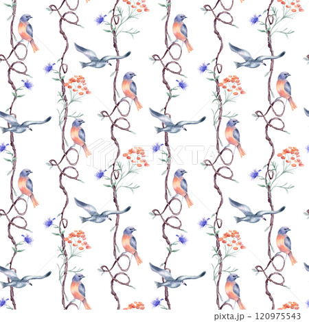 Birds of red, blue colors on repeating branches by watercolor isolated. Nature background with seamless tree and hearts form, flowers, birdie hand painted. Pattern design for wallpaper, textile. Birds of red, blue colors on repeating branches by watercolor isolated. Nature background with seamless tree and hearts form, flowers, birdie hand painted. Pattern design for wallpaper, textile. 120975543