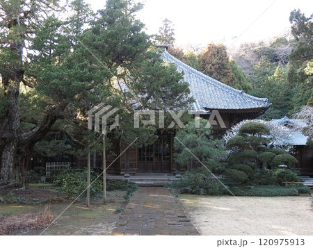 鎌倉市の寿福寺(仏殿) 鎌倉市の寿福寺(仏殿) 120975913