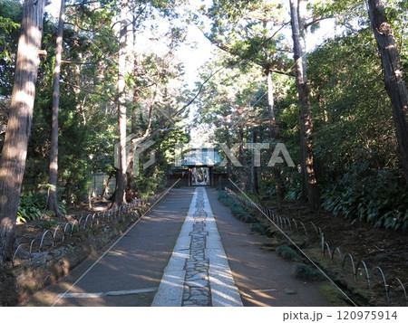 鎌倉市の寿福寺(参道・総門) 鎌倉市の寿福寺(参道・総門) 120975914