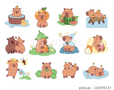 Funny capybaras. Happy exotic comic animals, cute biggest rodents, different poses, actions and emotions, kawaii characters, cartoon flat isolated illustration, stickers tidy vector set 120976137