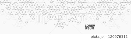 Modern abstract background with triangle and hexagon shapes pattern. Triangular geometric texture for header, web banner, website, presentation 120976511