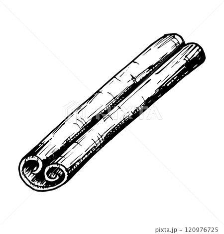 Hand drawn vector clipart of a cinnamon stick in detailed black and white line art. Perfect for use in culinary, holiday, and aromatic-themed designs, packaging, and creative projects. 120976725