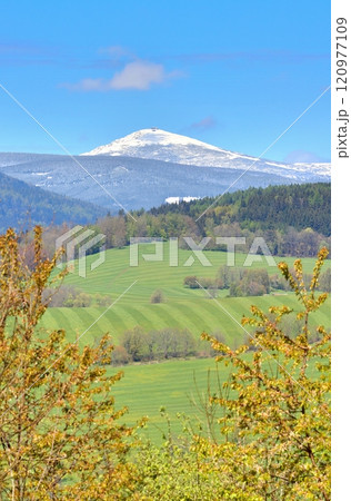 The difference between spring and winter in the landscape 120977109