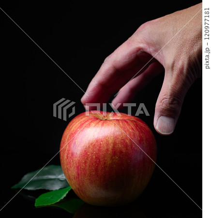 リンゴ（ 黒背景 ） 120977181