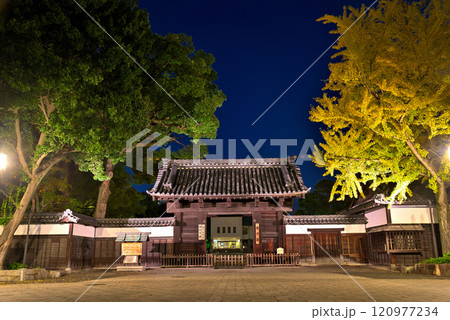 《愛知県》ライトアップアップされた秋の徳川園黒門 120977234