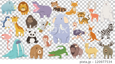 可愛的野生動物插圖集 120977534